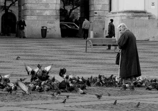 old lady taking care from pigeons