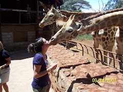 Giraffe Manor, Nairobi S. Africa