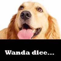 Wanda dice...