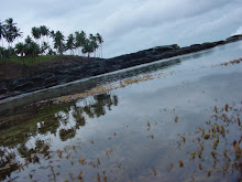 Wet Mirror (São Tomé and Príncipe, 2003)