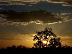 cielo español