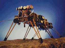 NASA Robot Bug