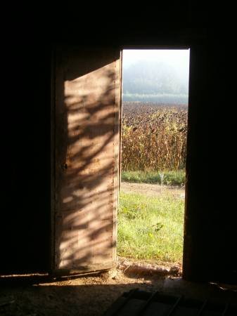 [PORTA.bmp]