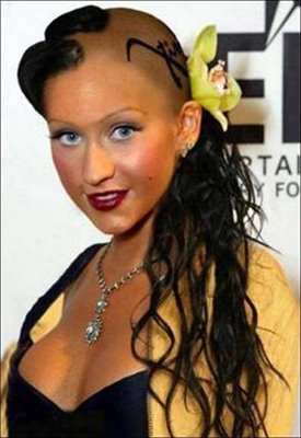 [Funny+Hair+style7.jpg]