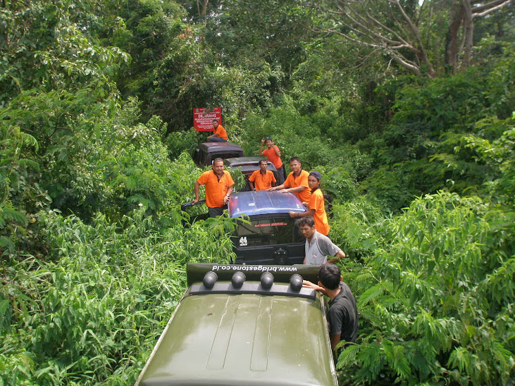 membelah rimba raya Gumeng, 9 Jan 2011