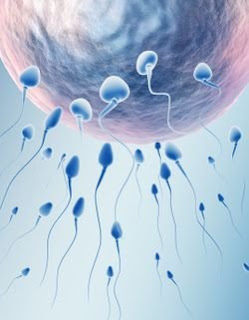 Sperm enhancement pills