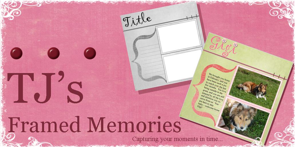 T.J.'s Framed Memories