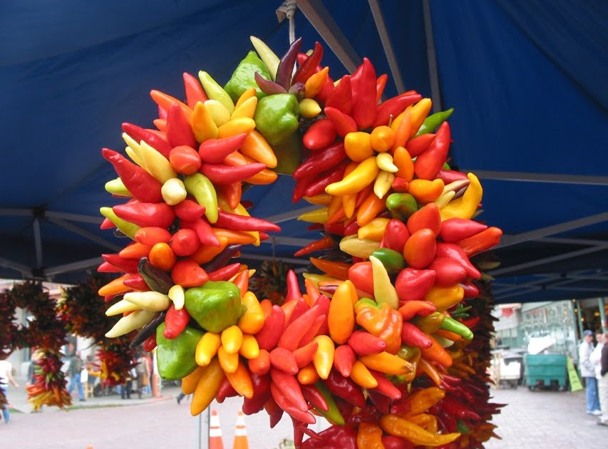 The Holy Enchilada Chile Wreaths and Etymology