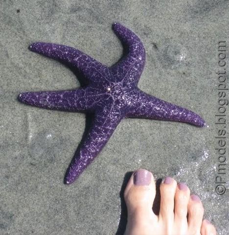 Purple+starfish+tattoo starfish tattoo. Purple+starfish+tattoo