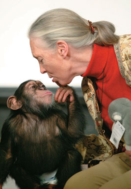 jane goodall primatologist