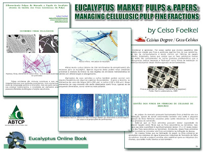 Eucalyptus Market Pulps and Papers: Managing Different Fine Fractions / Eucalyptus Online Book, November 2009, by Celso Foelkel / Eucalyptus Wisdom from Brazil / Diferenciando las celulosas y papeles de Eucalipto a partir de la gestión de Fracciones Finas de la Pulpa Celulósica / Libro Online Eucalipto, Noviembre 2009, por Celso Foelkel / Ecoeficacia, Ecoeficiencia, Produccion Mas Limpia / Sabiduría eucalíptica desde Brasil