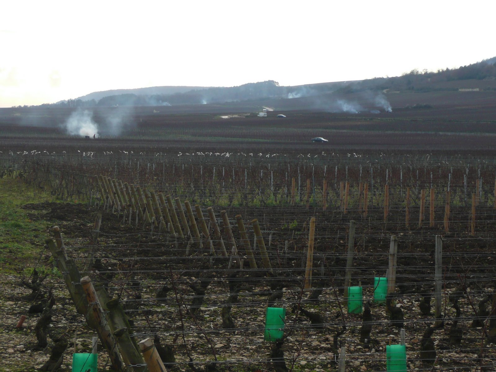 [Burgundy+Day+Four+Dec+2008+010.jpg]