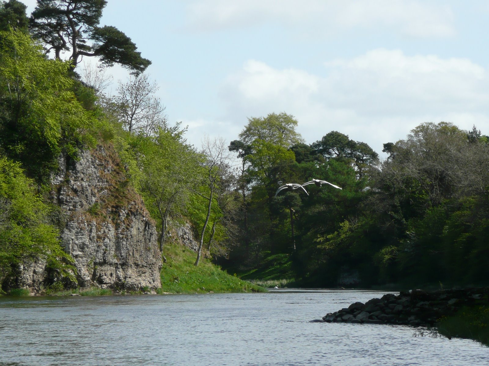 [Fishing+JBFWS+Tweed+April+2009+005.jpg]