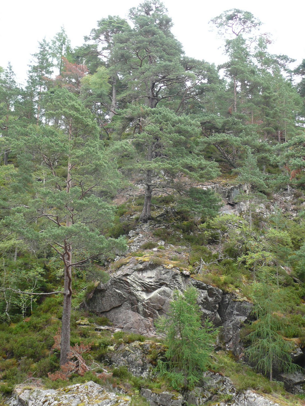 [Fishing+Findhorn+August+2009+006.jpg]