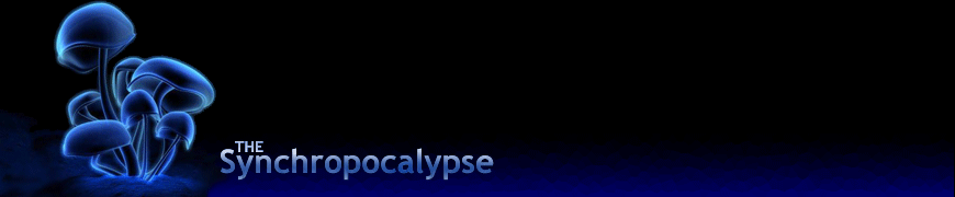 The Synchropocalypse