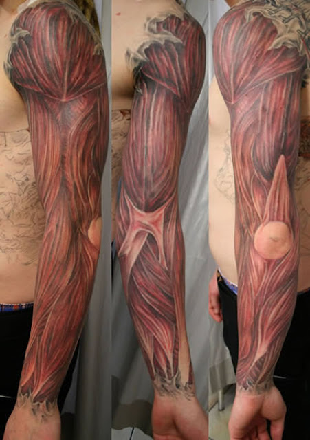 tatoo musculos tatoo criativa