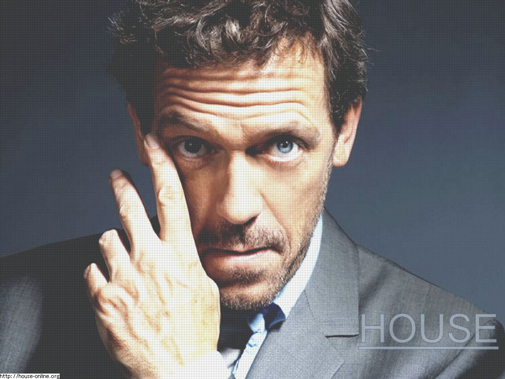 http://2.bp.blogspot.com/_3vUb0CssDYM/TO6AE0Lto6I/AAAAAAAAAGQ/dvEZdVbb6iQ/s1600/hugh-laurie-hugh-laurie-731109_1024_768.jpg