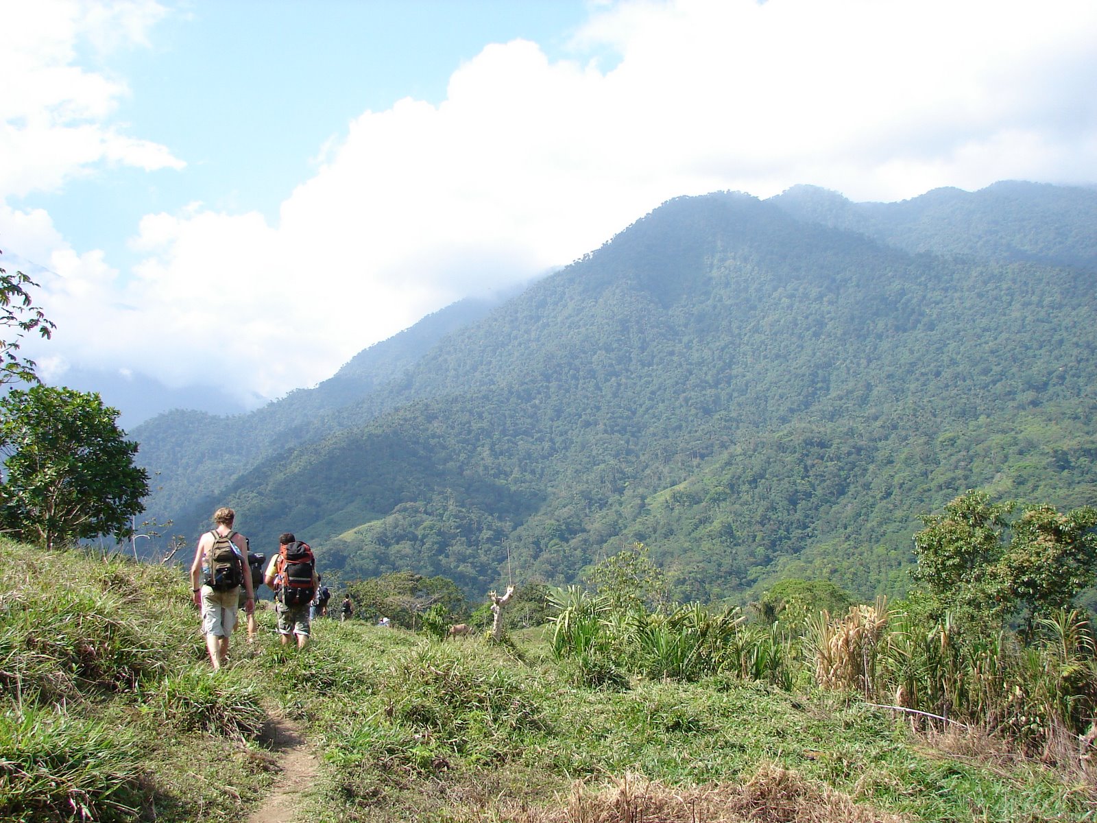 [DSC04454.JPG]