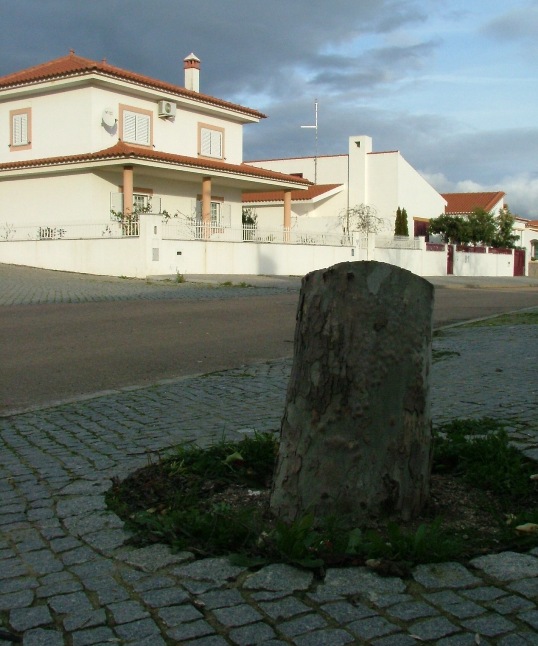 [DSCF1266.JPG]