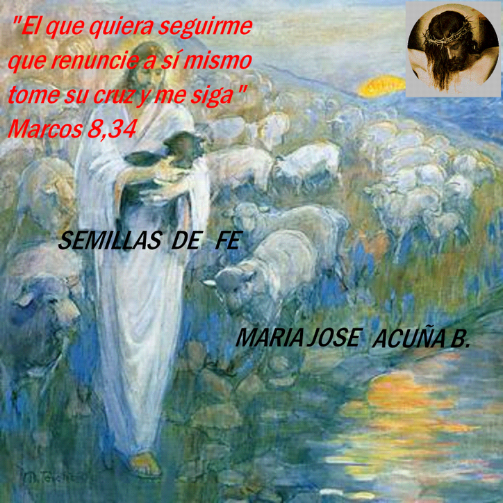 SEMILLAS DE FE