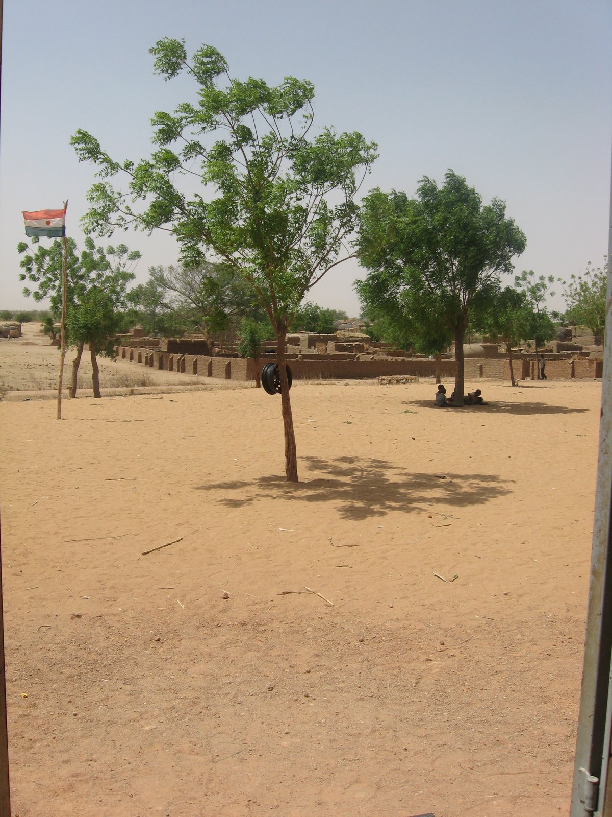 [IMG_0779.JPG]