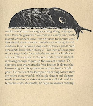 An edifying essay upon slugs