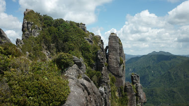 Coromandel