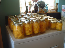 More canning, it's peaches now.