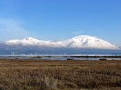 ΑΝΟΙΧΤΗ ΠΡΩΤΟΒΟΥΛΙΑ ΠΟΛΙΤΩΝ Β.ΑΤΤΙΚΗΣ-ΕΥΒΟΪΚΟΥ