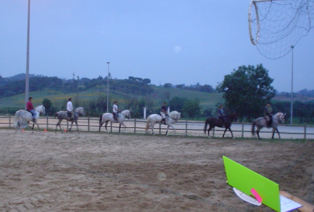 [DSC04634b.JPG]
