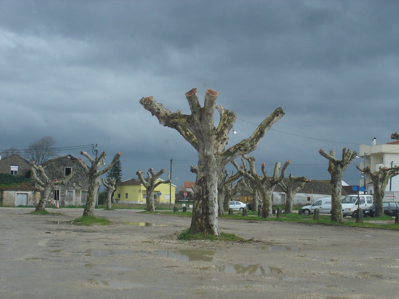 [DSC03335.JPG]