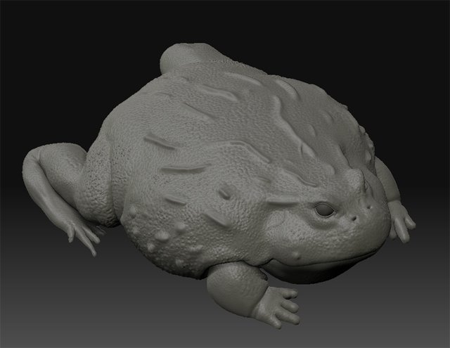 [frog3.JPG]