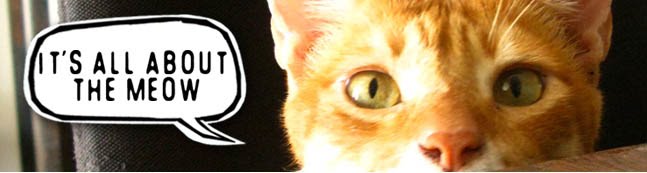 Meow Banner