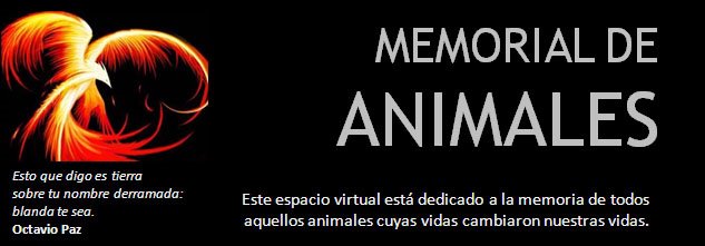 Cementerio de Animales (Varios)