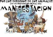 Los Derechos de los Animales