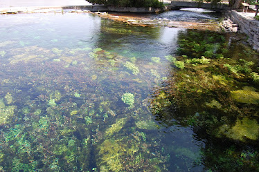 Giant Springs