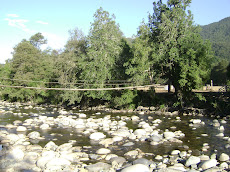 Puente Colgante