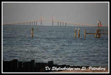 Skylinebridge St. Petersburg