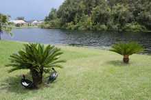 het uitzicht vanuit onze villa