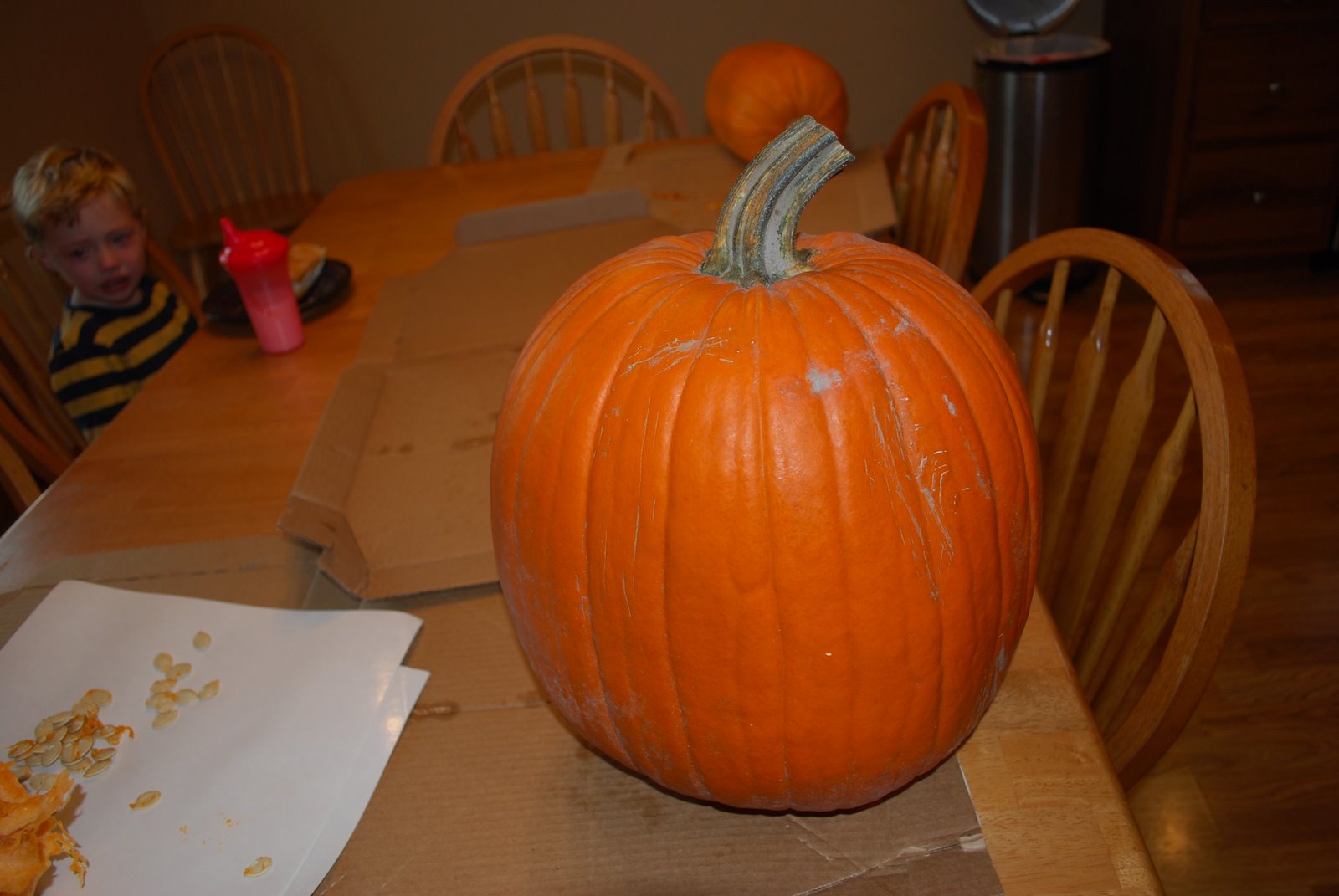 [DSC_0002.JPG]