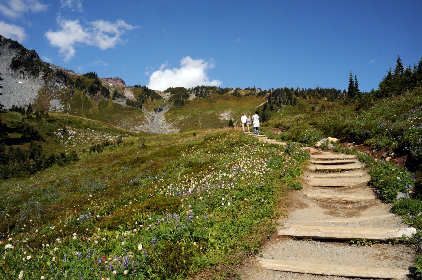 Visit Rainier Spring Opening Dates at Mt. Rainier