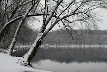 Click photo to return to Potomac Valley Nature Writing Group