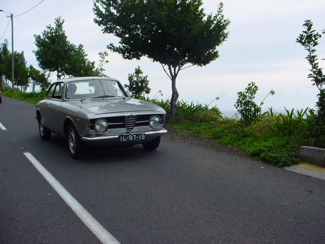 [DSC00246.JPG]