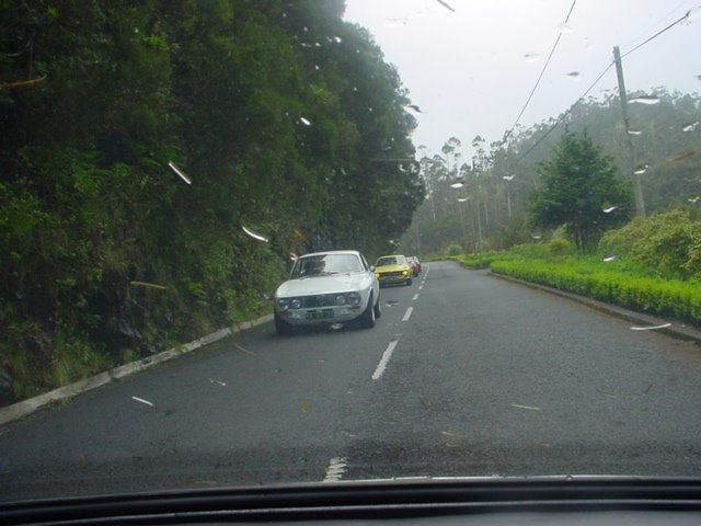 [DSC02780.JPG]