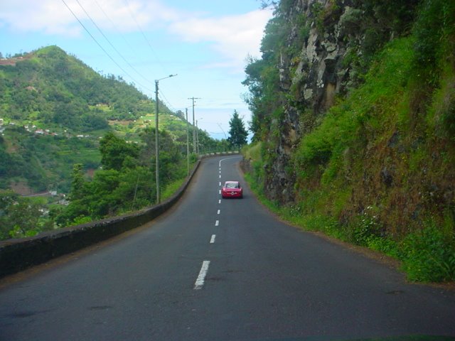 [DSC02933.JPG]