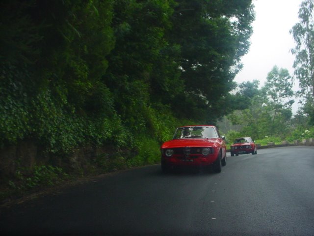 [DSC04597.JPG]