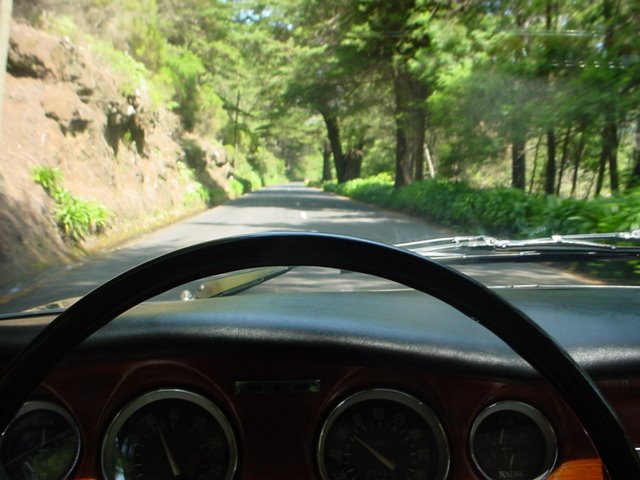 [DSC04609.JPG]