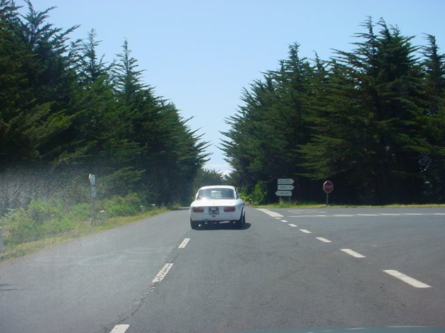[DSC04644.JPG]