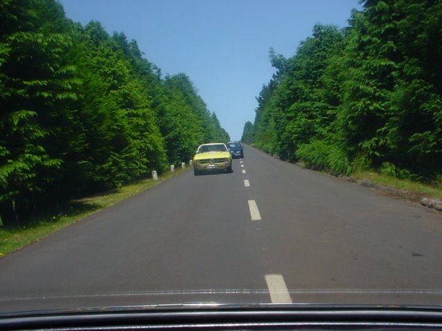 [DSC04639.JPG]