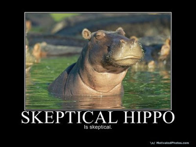 Skeptical-Hippo_500x500.jpg